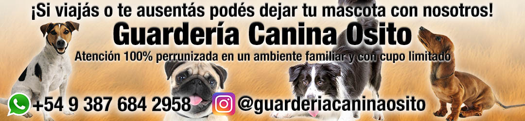 Guardería Canina Osito